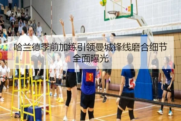 哈兰德季前加练引领曼城锋线磨合细节全面曝光